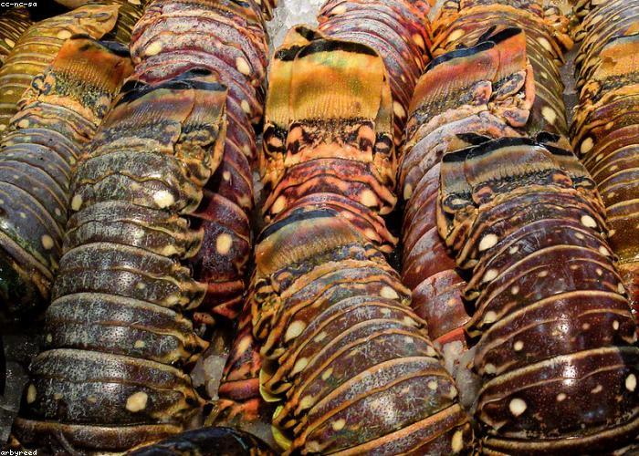 Tavolo di antipasti di lago